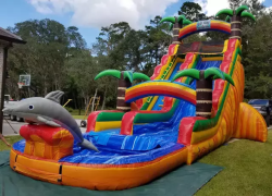 22' Dolphin Splash